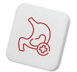 Stomach Icon